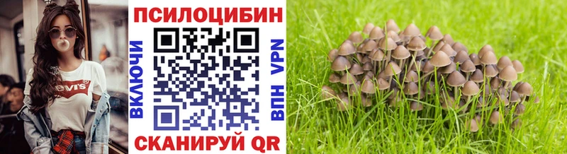 Псилоцибиновые грибы мухоморы наркота Белёв